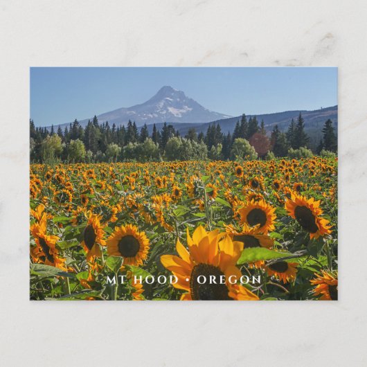 Mt Hood | Oregon Briefkaart (Voorkant)