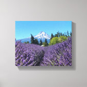 Mt Hood Oregon Canvas Afdruk (Voorkant)