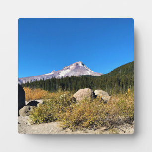 Mt. Hood, Oregon Fotoplaat