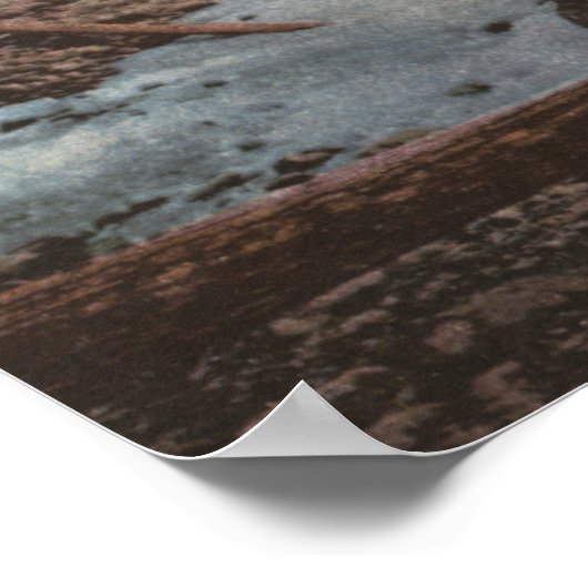 Mt. Hood, Oregon Poster (Hoek)