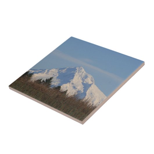 Mt Hood, Oregon Tegeltje (Zijkant)