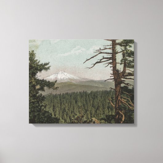 Mt. Hood, Oregon - Uitzicht van de Berg van afgele Canvas Afdruk (Voorkant)