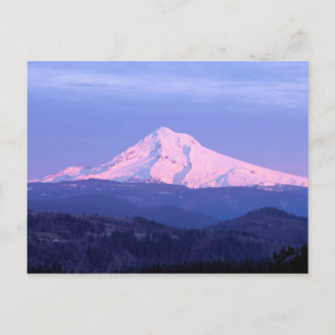 Mt. Hood Sunrise Briefkaart