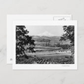 Mt. Hood uit de Hood River Valley-foto Briefkaart (Voorkant / Achterkant)