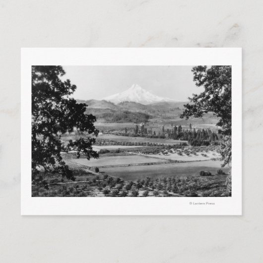 Mt. Hood uit de Hood River Valley-foto Briefkaart (Voorkant)