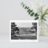 Mt. Hood uit de Hood River Valley-foto Briefkaart (Staand voorkant)