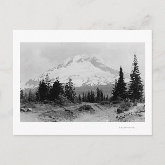 Mt. Hood Uitzicht uit Camp Foto van de regering Briefkaart (Voorkant)