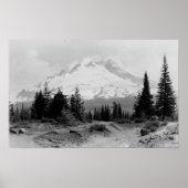 Mt. Hood Uitzicht uit Camp Foto van de regering Poster (Voorkant)