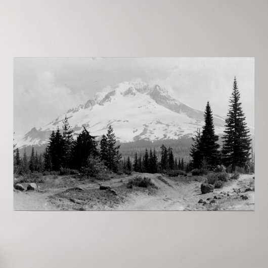 Mt. Hood Uitzicht uit Camp Foto van de regering Poster (Voorkant)