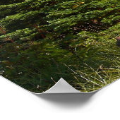 Mt. Hood van Vista Ridge Poster (Hoek)