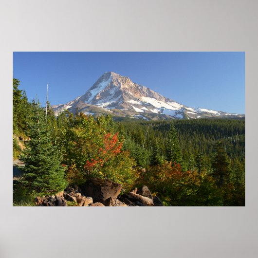 Mt. Hood van Vista Ridge Poster (Voorkant)