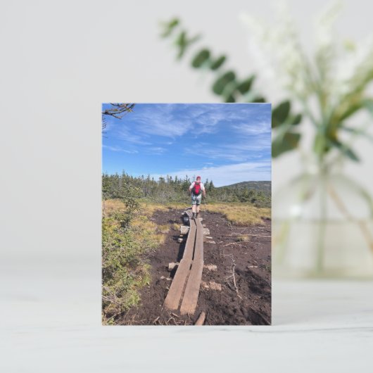 Mt. Jackson en Mt. Pierce Bog Bridge Briefkaart (Staand voorkant)