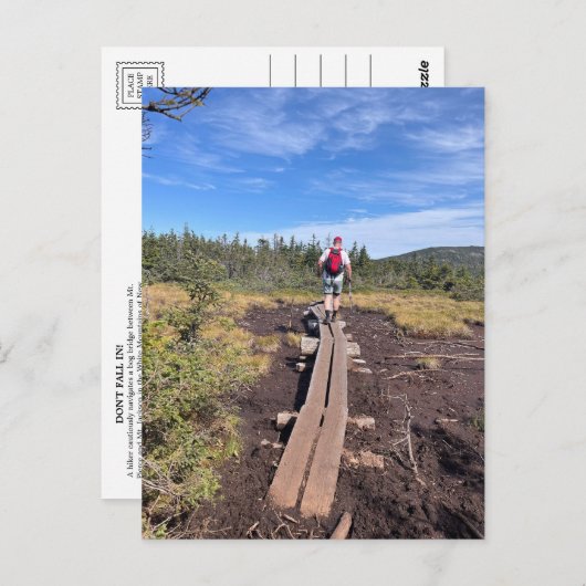 Mt. Jackson en Mt. Pierce Bog Bridge Briefkaart (Voorkant / Achterkant)