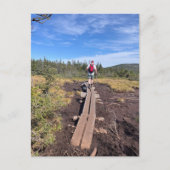 Mt. Jackson en Mt. Pierce Bog Bridge Briefkaart (Voorkant)