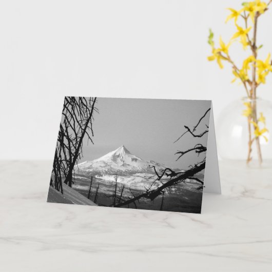 MT. JEFFERSON: Verschil Kaart (Gele Bloem)