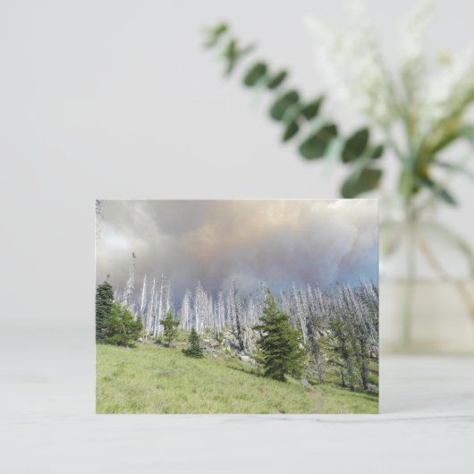 Mt. Jefferson Wilderness Briefkaart (Staand voorkant)