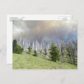 Mt. Jefferson Wilderness Briefkaart (Voorkant / Achterkant)