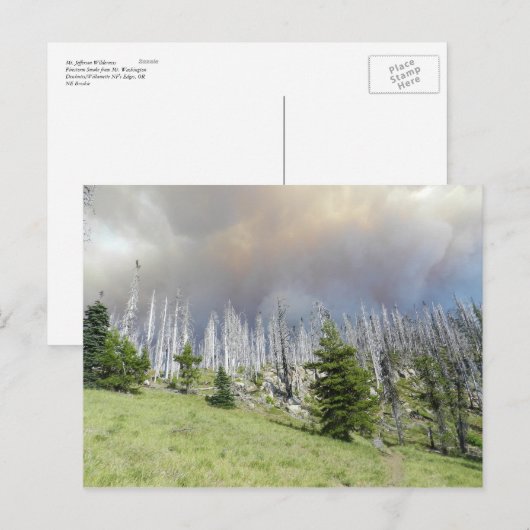 Mt. Jefferson Wilderness Briefkaart (Voorkant / Achterkant)