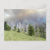 Mt. Jefferson Wilderness Briefkaart (Voorkant)