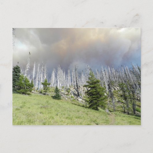 Mt. Jefferson Wilderness Briefkaart (Voorkant)