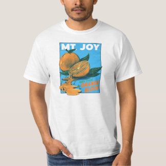 Mt Joy Merch T-shirt