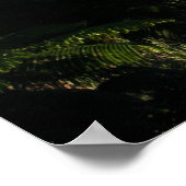 Mt. Kilimanjaro Poster (Hoek)