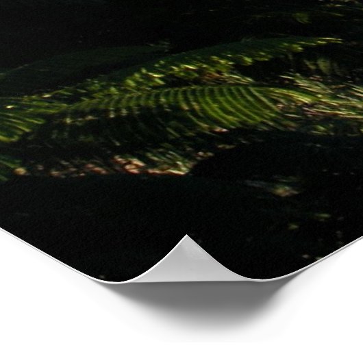 Mt. Kilimanjaro Poster (Hoek)