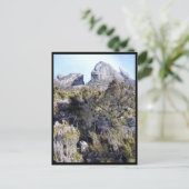 mt kinabalu planten briefkaart (Staand voorkant)