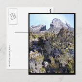 mt kinabalu planten briefkaart (Voorkant / Achterkant)