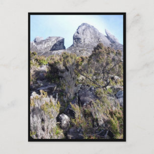 mt kinabalu planten briefkaart