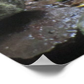 Mt. Kurama Dragon Poster (Hoek)