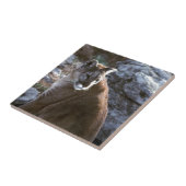 Mt leeuw tegeltje (Zijkant)