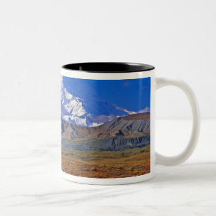 Mt. McKinley Denali National Park, Alaska. Tweekleurige Koffiemok