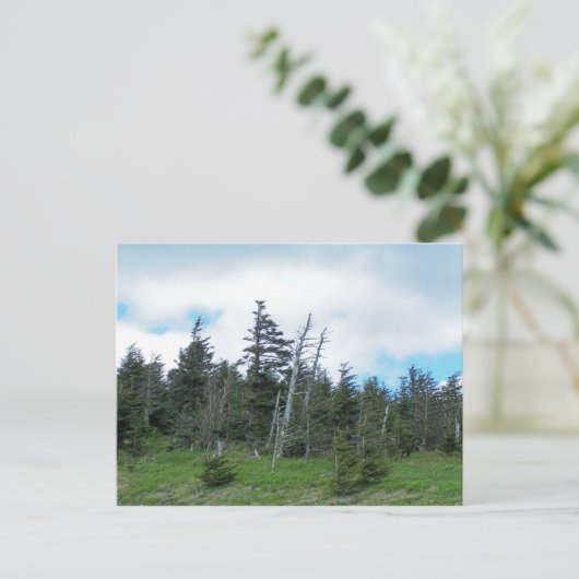 Mt. Mitchell Briefkaart (Staand voorkant)