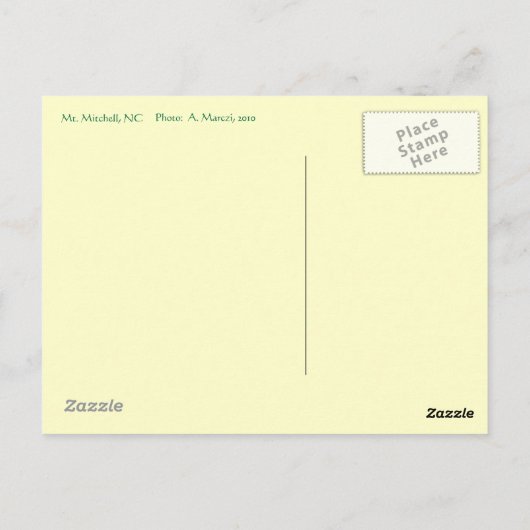 Mt. Mitchell Briefkaart (Achterkant)