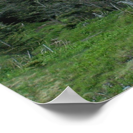 Mt. Mitchell I Poster (Hoek)