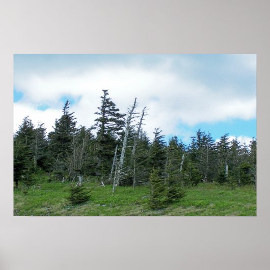 Mt. Mitchell I Poster (Voorkant)