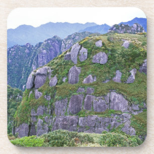 Mt. Nagata, Yakushima, Kagoshima, Japan Bier Onderzetter