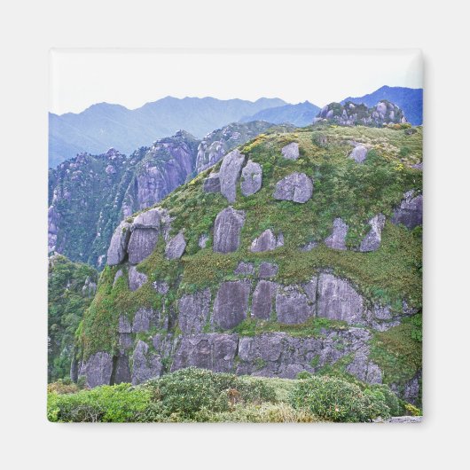 Mt. Nagata, Yakushima, Kagoshima, Japan Magneet (Voorkant)