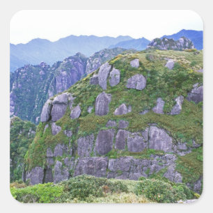 Mt. Nagata, Yakushima, Kagoshima, Japan Vierkante Sticker