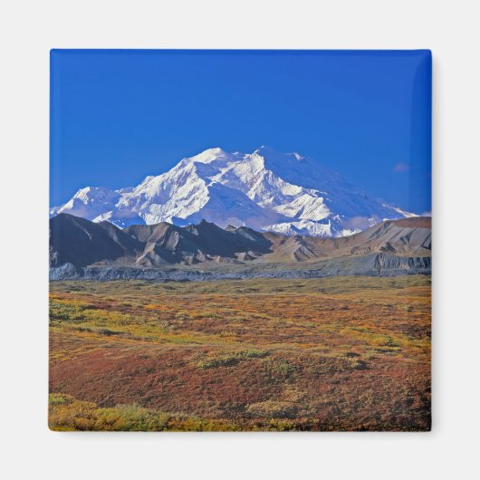 Mt Nationaal Park McKinley Denali, Alaska. Magneet (Voorkant)