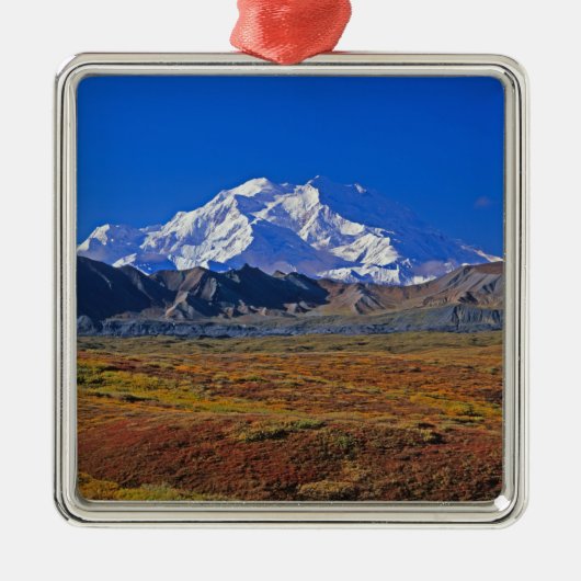 Mt. Nationaal Park McKinley Denali, Alaska. Metalen Ornament (Voorkant)