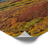 Mt Nationaal Park McKinley Denali, Alaska. Poster (Hoek)