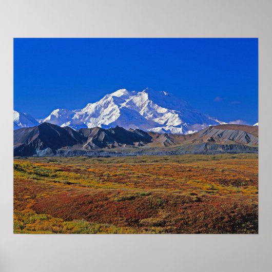 Mt Nationaal Park McKinley Denali, Alaska. Poster (Voorkant)