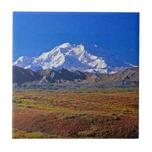 Mt. Nationaal Park McKinley Denali, Alaska Tegeltje