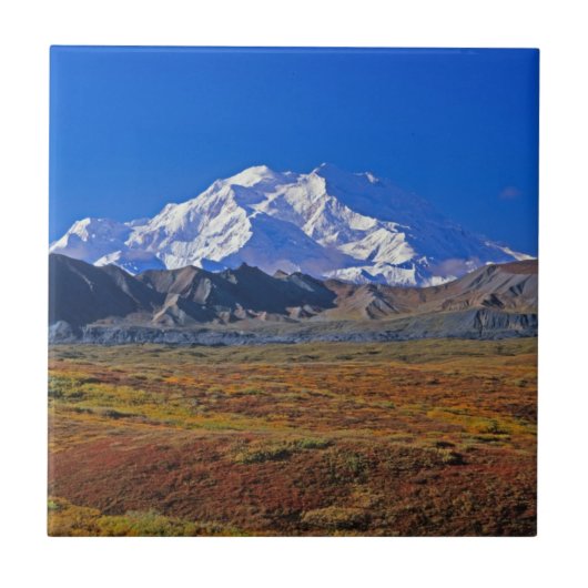Mt. Nationaal Park McKinley Denali, Alaska Tegeltje (Voorkant)