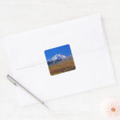 Mt Nationaal Park McKinley Denali, Alaska. Vierkante Sticker (Envelop)