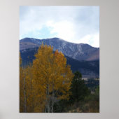Mt Ouray Poster (Voorkant)