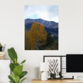 Mt Ouray Poster (Thuiskantoor)