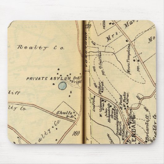 Mt. Pleasant, New York 2 Muismat (Voorkant)